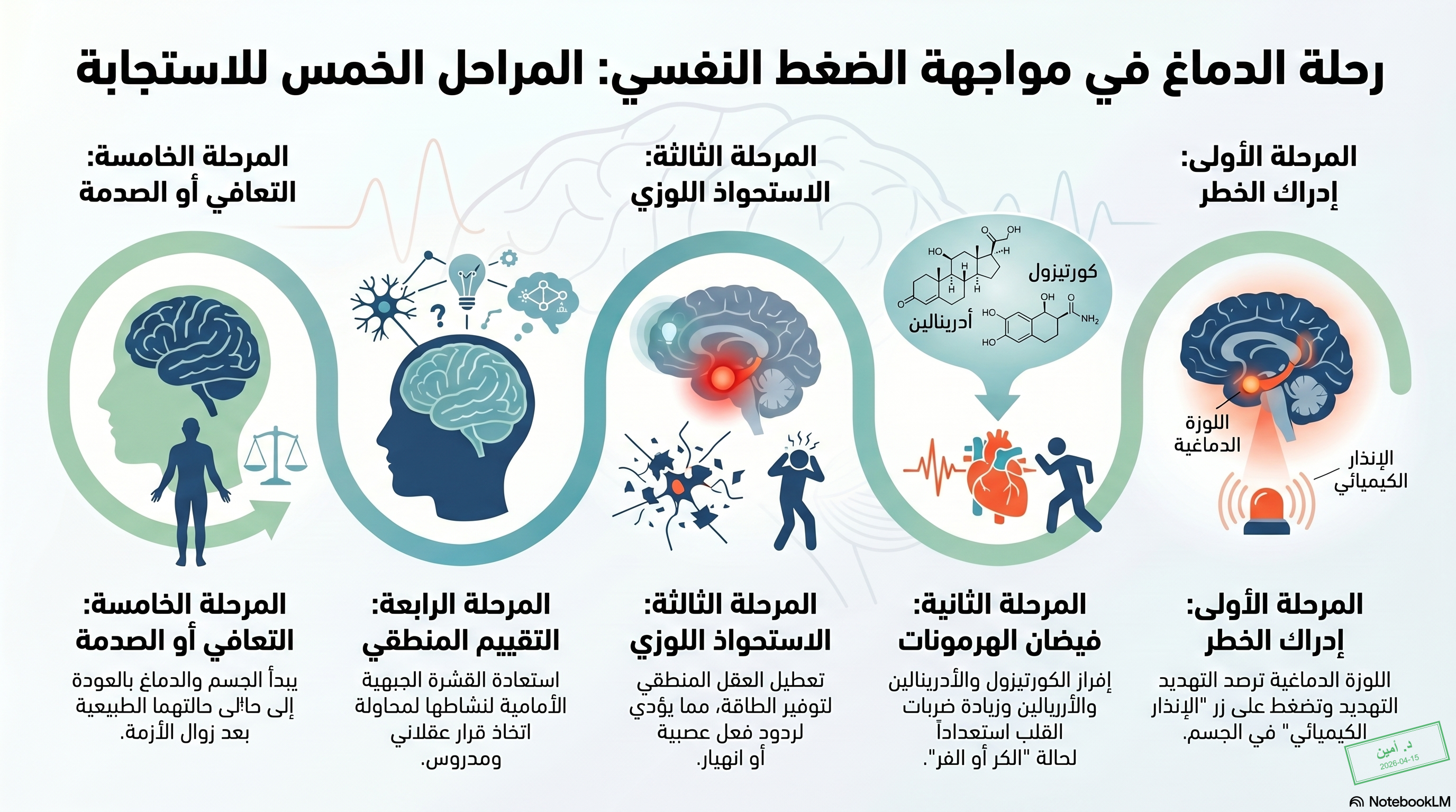 رحلة الدماغ لمواجهة الضغط النفسي